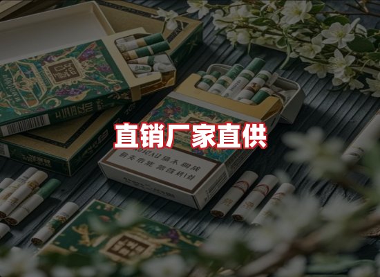专业团队